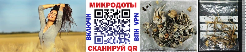 Псилоцибиновые грибы Psilocybine cubensis  Сорск 